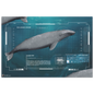 69d7f176-e986-4368-82e3-b2207c891c6f
